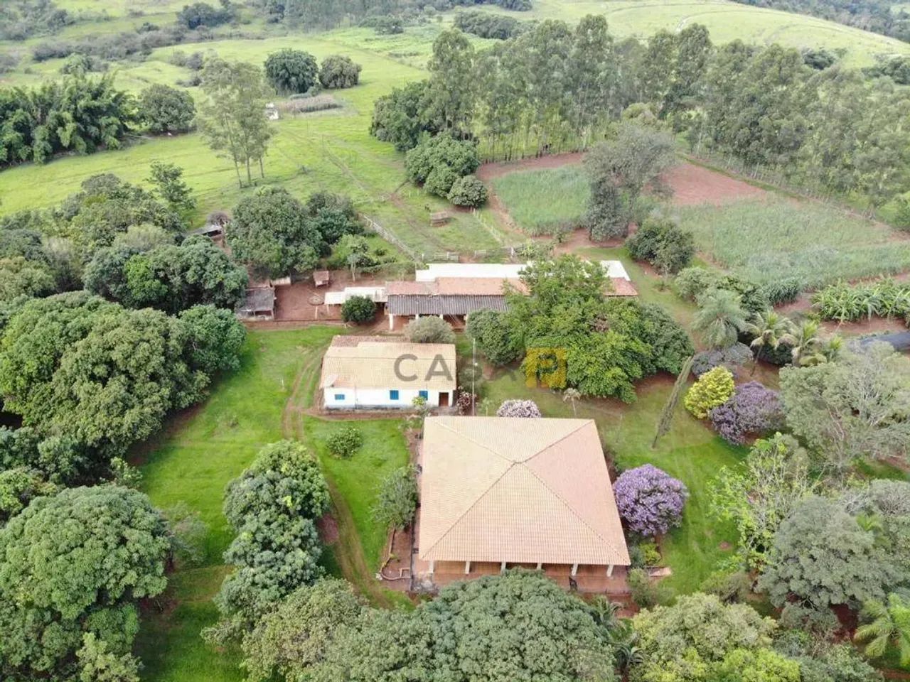 Sítio à venda - Bairro Tatu - Limeira/SP - Foto 2
