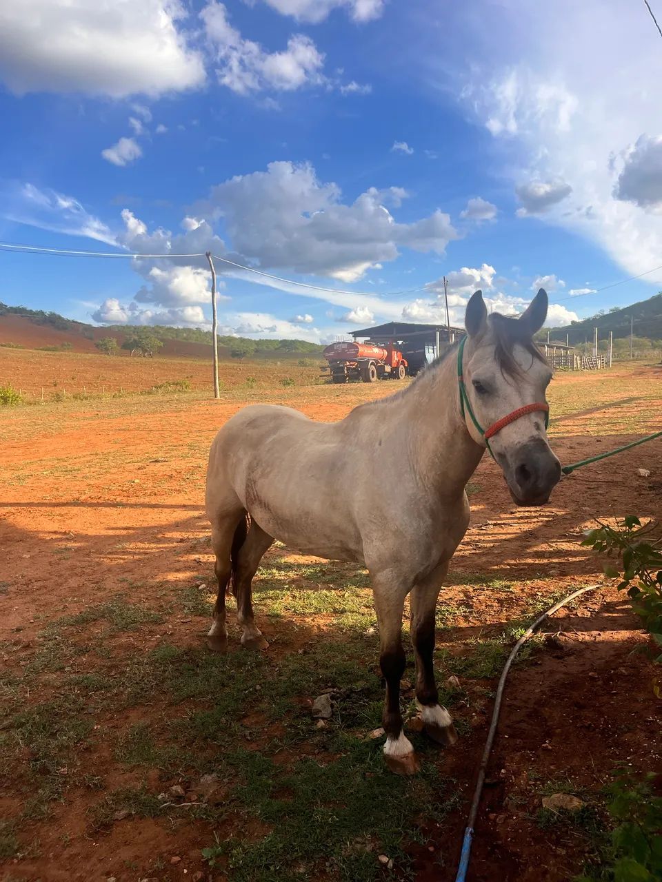 PIQUIRA A VENDA  - Foto 5