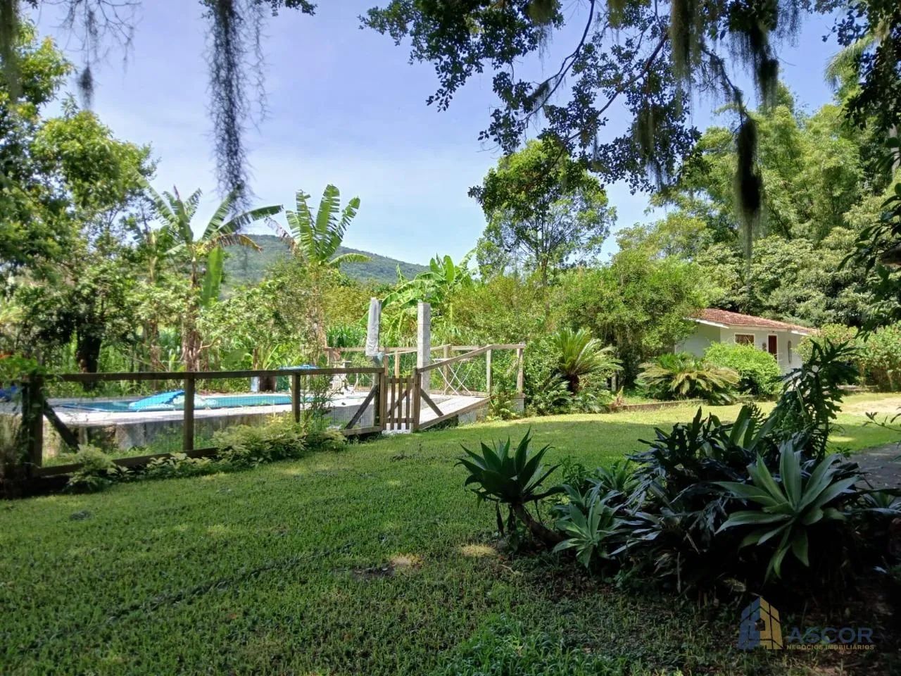 Sítio em Ratones Florianópolis com 8800m² Casa 4 Quartos Studio Independente e Área Verde - Foto 3