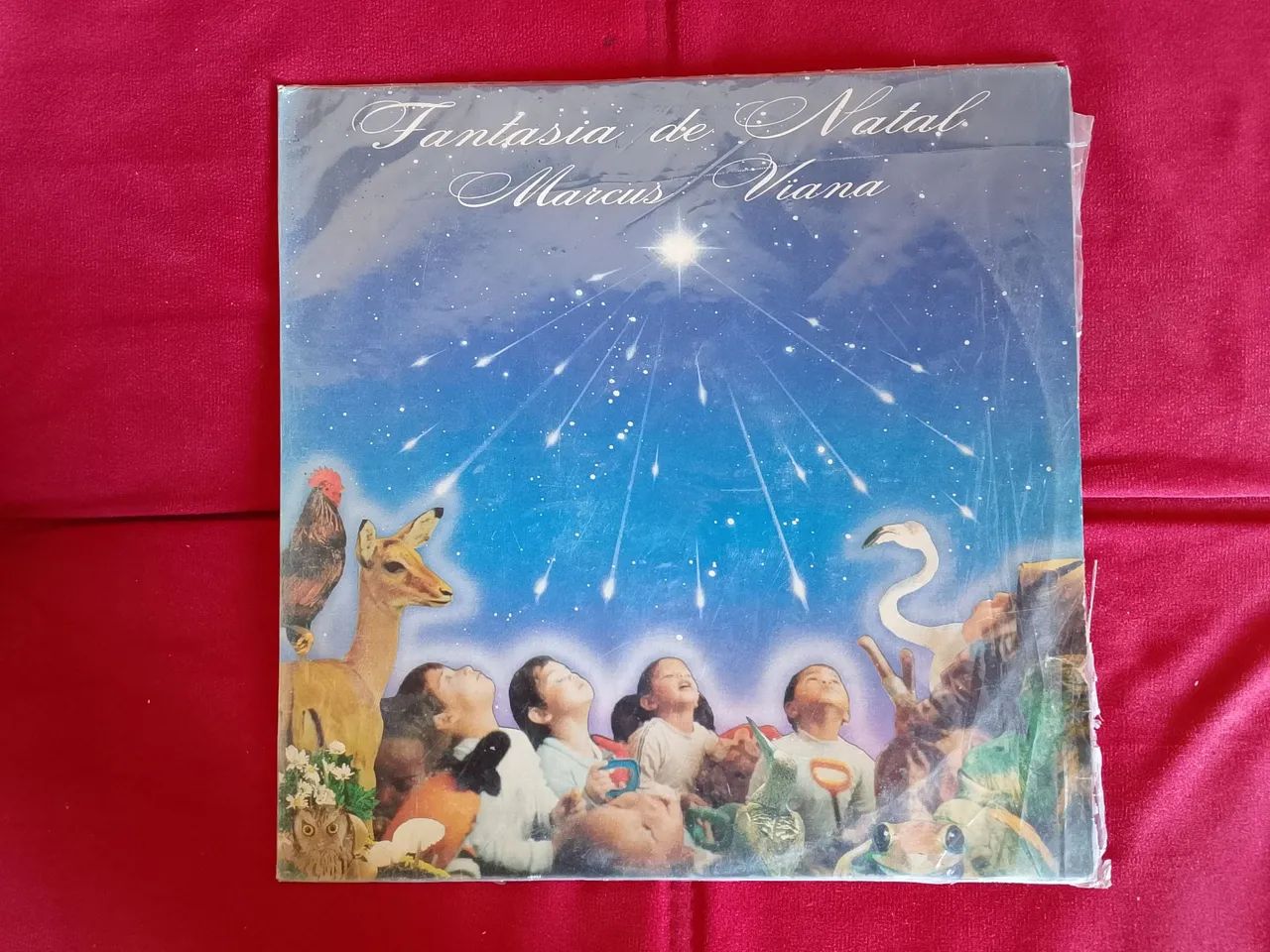 MARCUS VIANA LPS - Foto 5