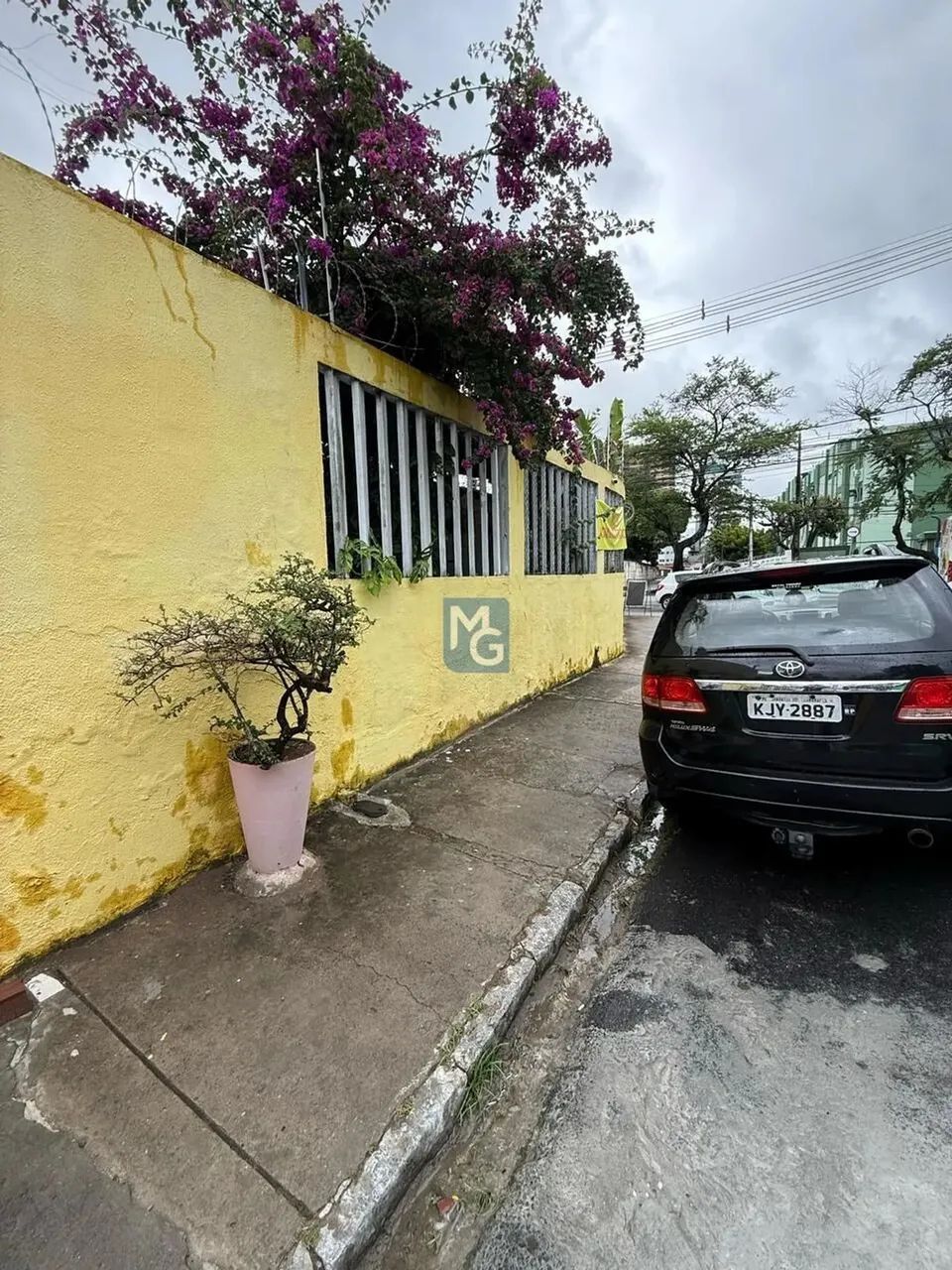 Casa Comercial Tamarineira