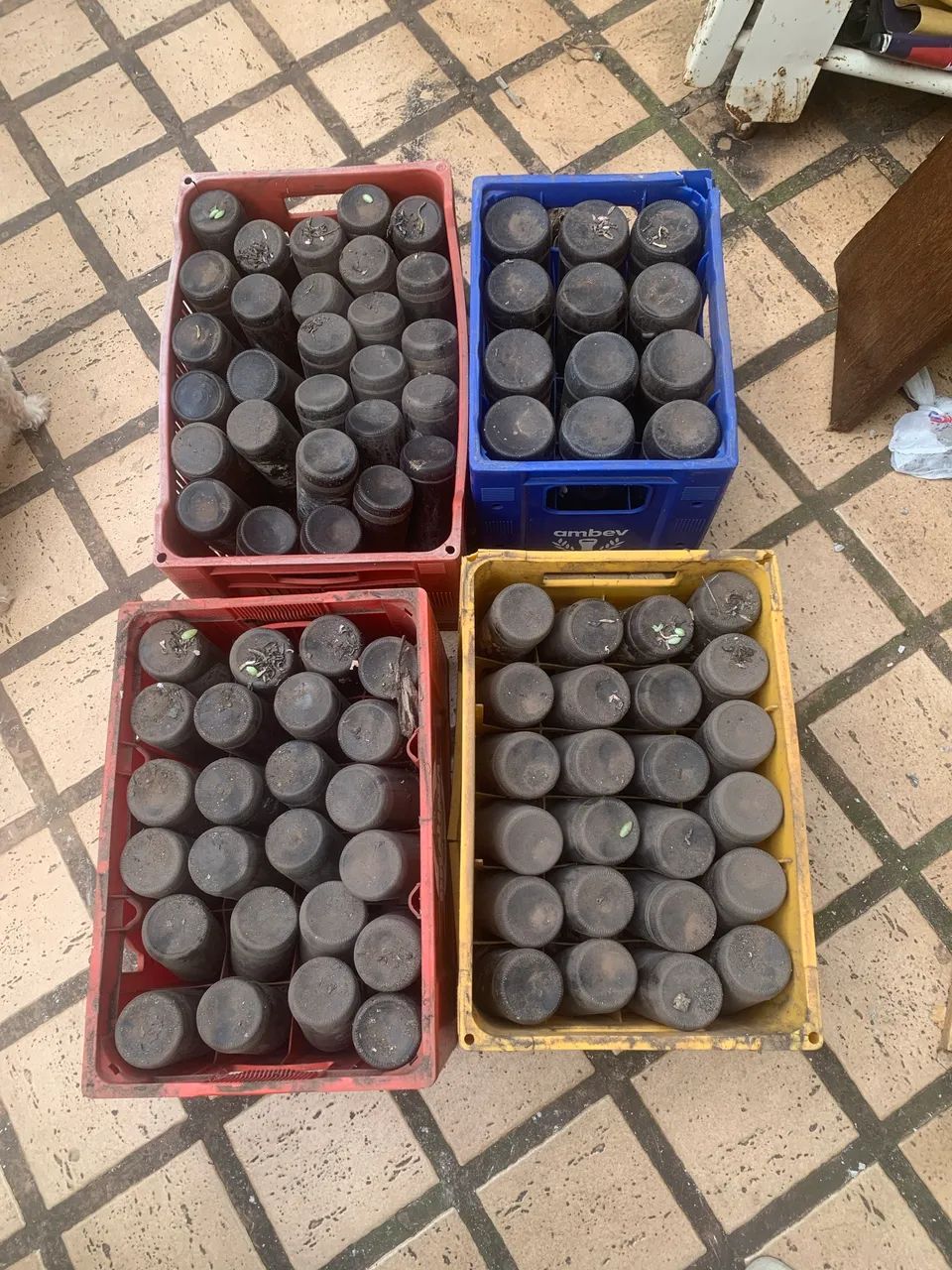 Engradados