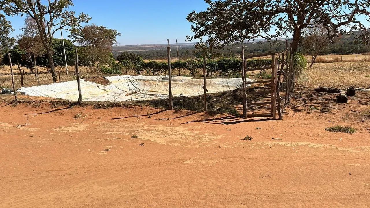 Chacara com 20 mil metros - Tororo - Foto 5