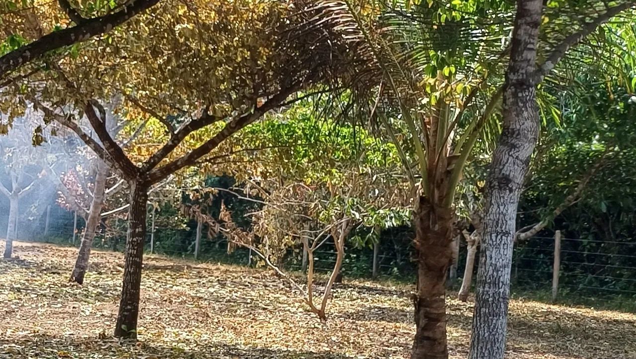 Terreno c/ casa em construção - Foto 2