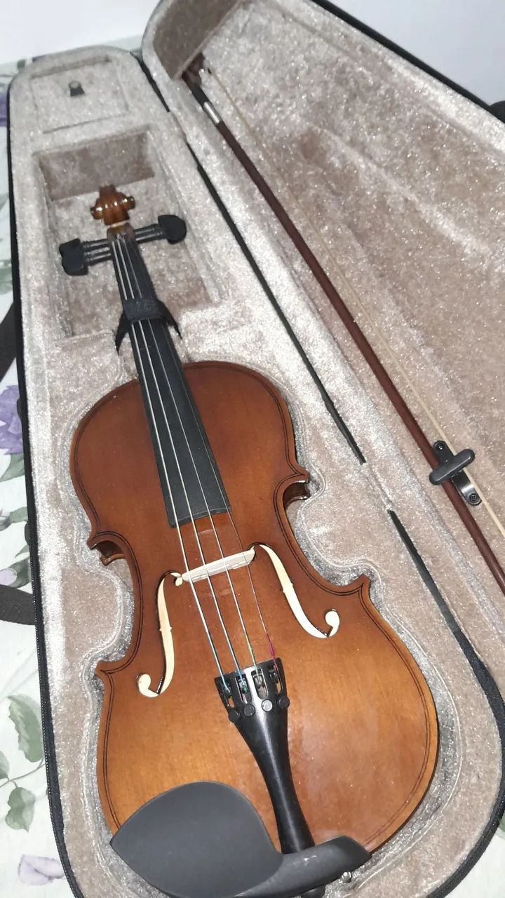 violino 