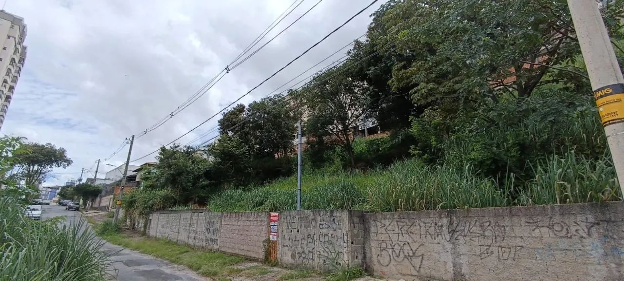 Lote,0 Dormitorio(s) bairro Ouro Preto - Foto 5