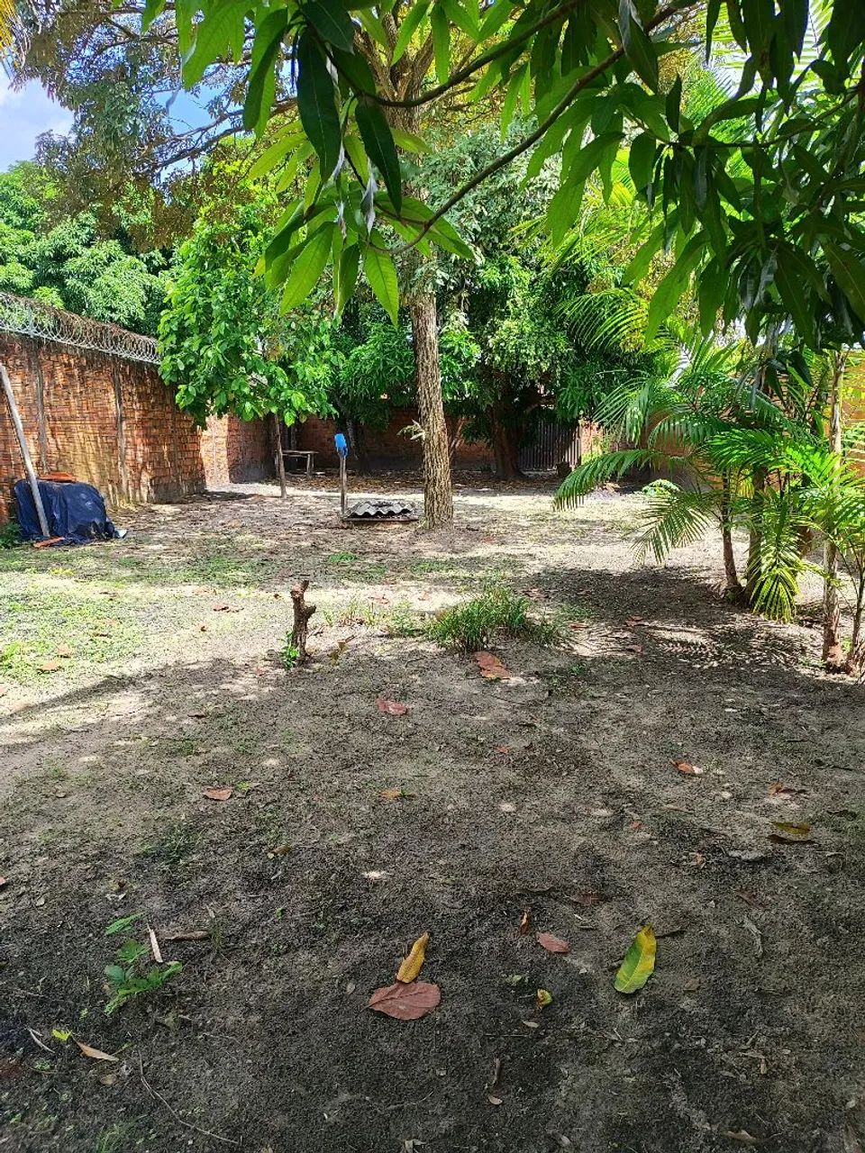 TERRENO a venda bairro MATA .  - Foto 3