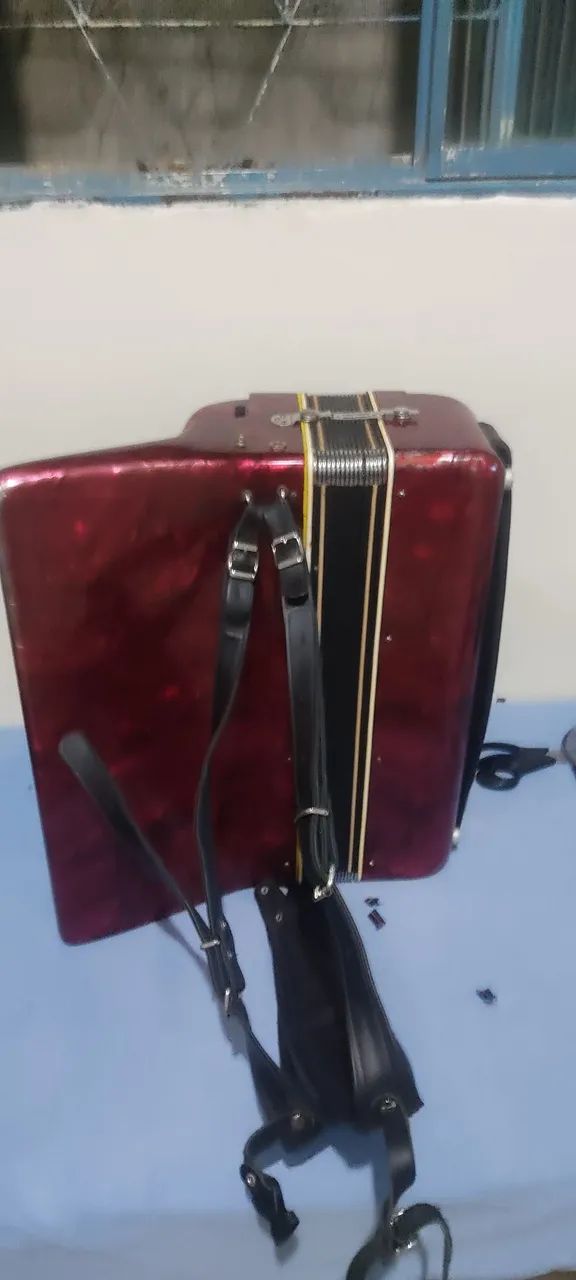 Acordeon sonelli 120 bx - Foto 3