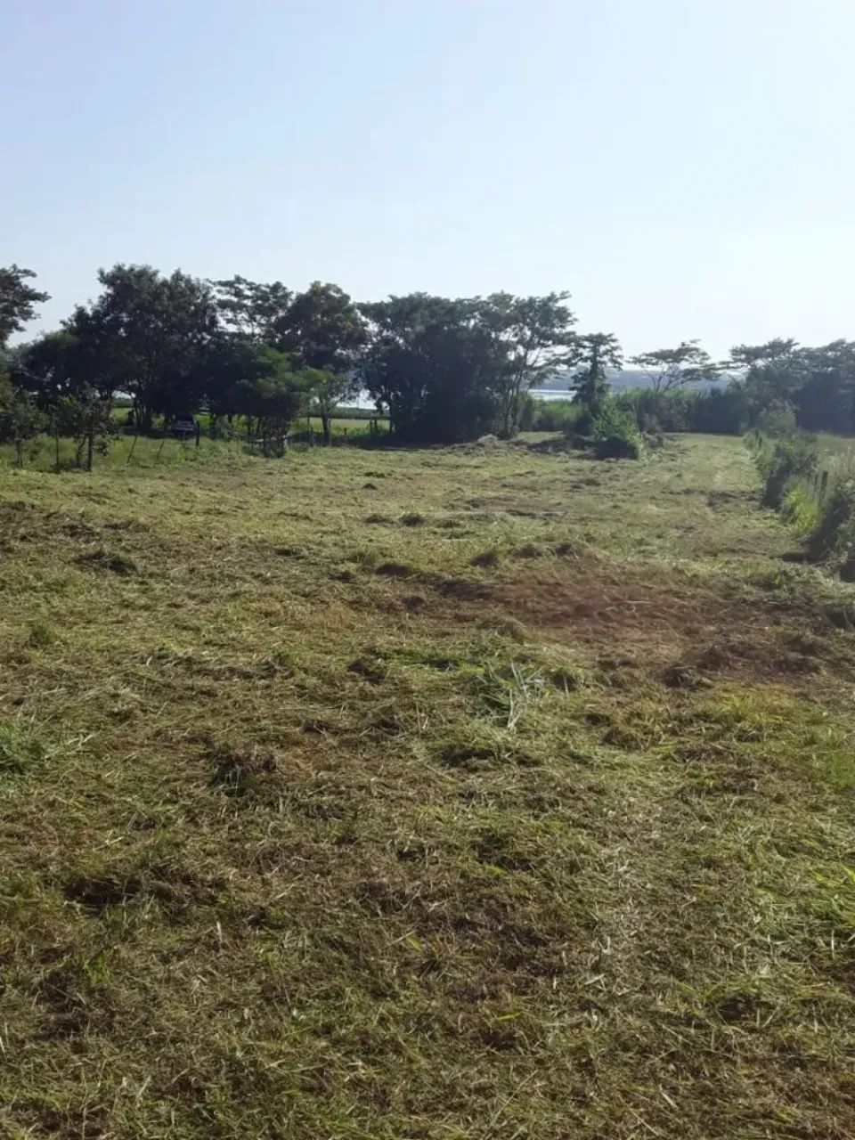TERRENO BEIRA DA REPRESA - Foto 4