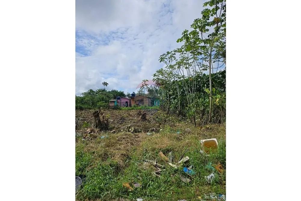 Terreno à Venda em Breves/PA