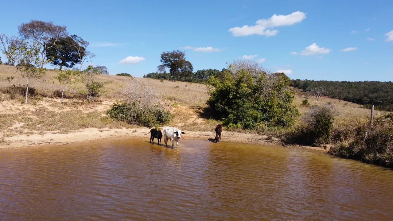 Fazendinas em itaguara  - Foto 2