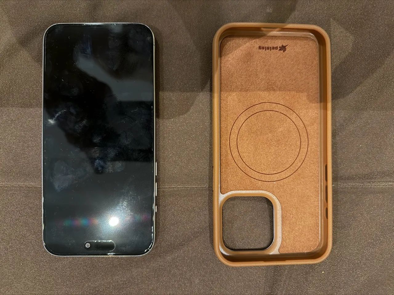 iPhone 15 Pro Max | 256 GB 