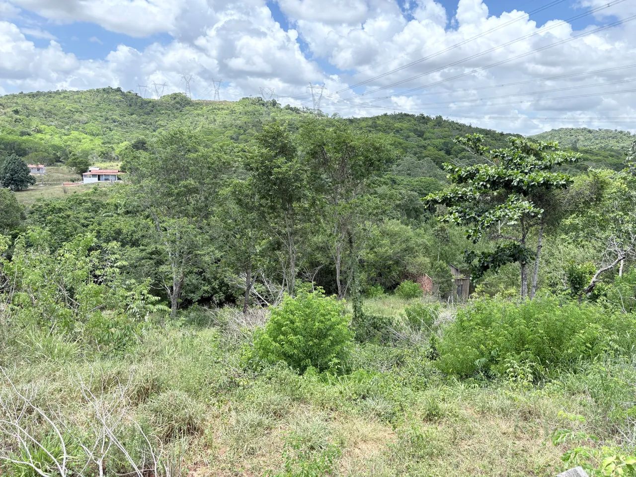 Vendo terreno em catu-BA - Foto 2