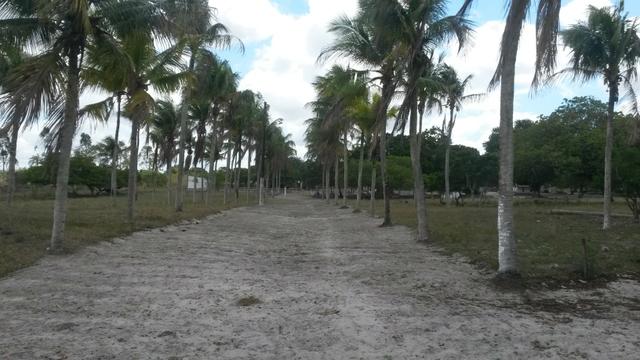 Terreno para Condominios