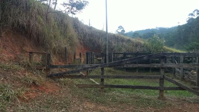 Sitio rico em água com cachoeiras, rios e lagos de piscina naturais, leia anúncio!!! - Foto 12