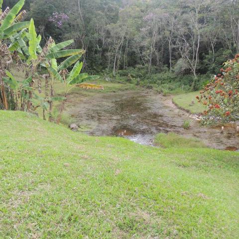 Chacara com piscina e lago - Foto 3
