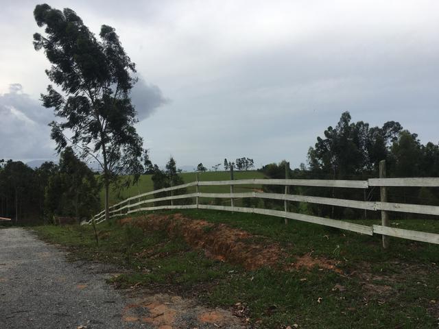 Sítio com 4 alqueires em Caxeta - Foto 15