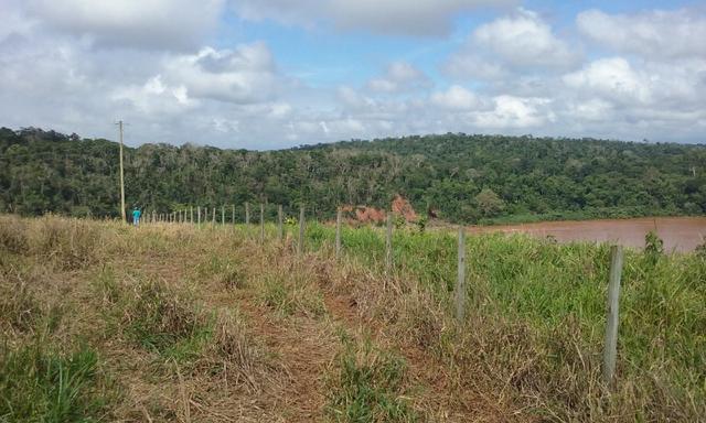 36 hectares na região pingo dagua - Foto 9