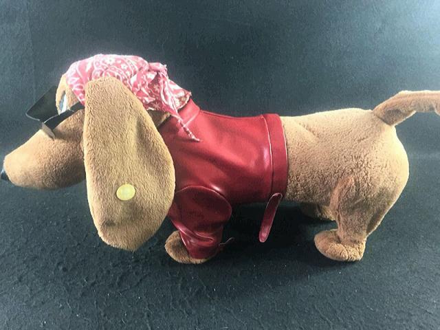 Cachorro "Badboy" Que Canta e Dança - Foto 4