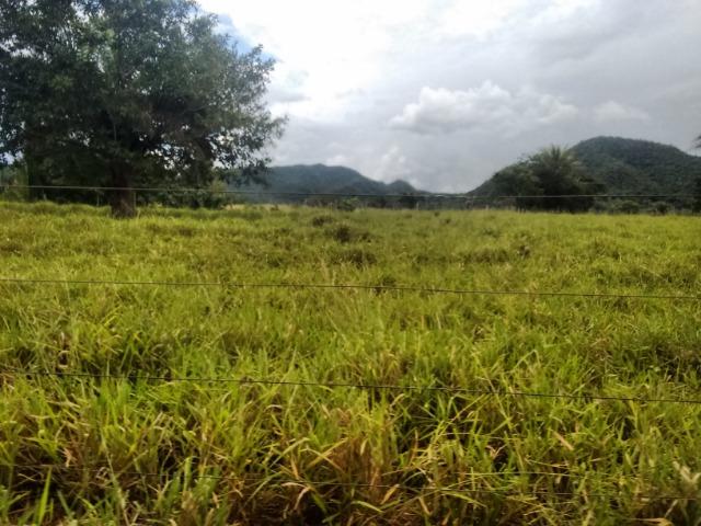 Fazenda 570 Hectares Grande Oportunidade - MT - Foto 4