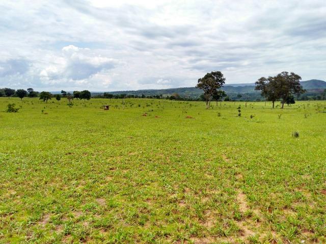 Fazenda com 686he, c/ 350He formado, terra boa, 30km antes Guiratinga-MT