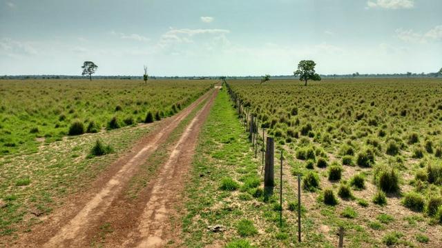 Fazenda c/ 1.000he, 620he formados, Itiquira-MT - Foto 13