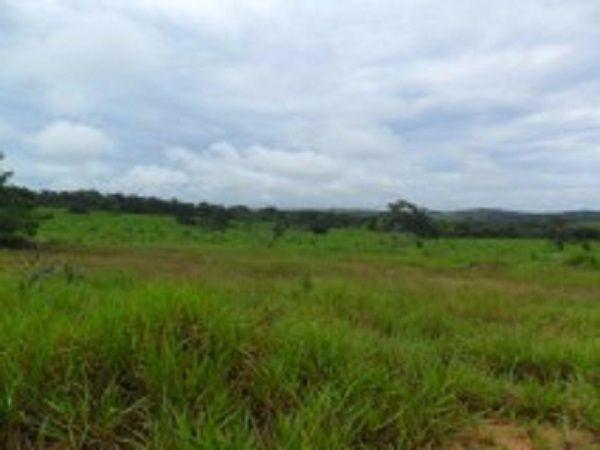 Fazenda c/ 840he c/ aprox. 400he formado, c/ GEO, Guiratinga-MT
