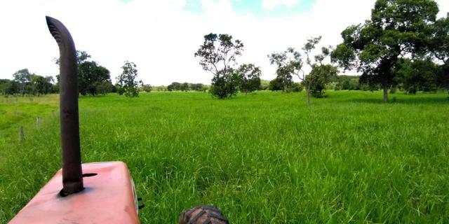 Fazenda com 686he, c/ 350He formado, terra boa, 30km antes Guiratinga-MT - Foto 4