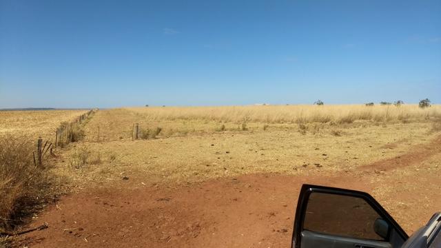 Fazenda c/ 1.700he c/ 80% formados, dupla aptidão, Itiquira-MT, pego 50% em imóvel no PR - Foto 16