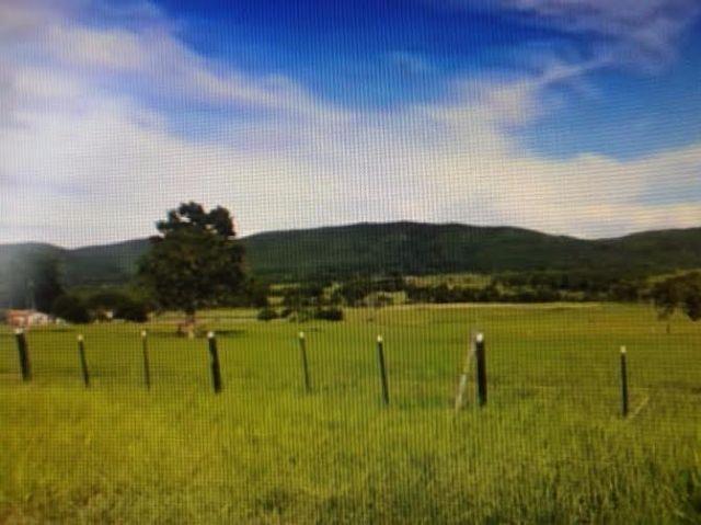 Fazenda c/ 1.098he c/ 80% formado, a 5km da BR, Caceres-MT - Foto 4