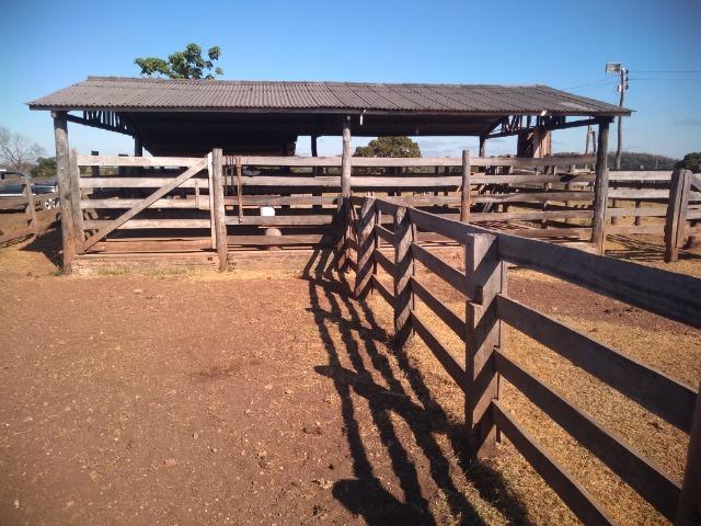 Fazenda c/ 920he, com 600he formados, as margens da BR, a 35km de Cuiabá-MT - Foto 10