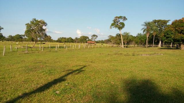 Fazenda 1.210 Hectares Excelente Pecuária - Cáceres - MT - Foto 11