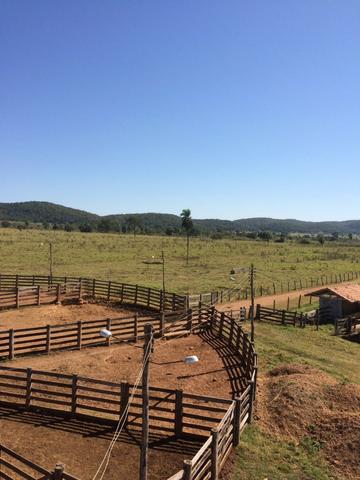 Fazenda 3.630 Hectares Porto Esperidião - MT