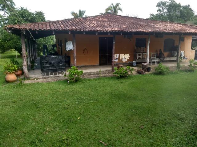 Fazenda com 200he, c/ 50% formado, terra de cultura, 40km de Cuiabá-MT - Foto 15
