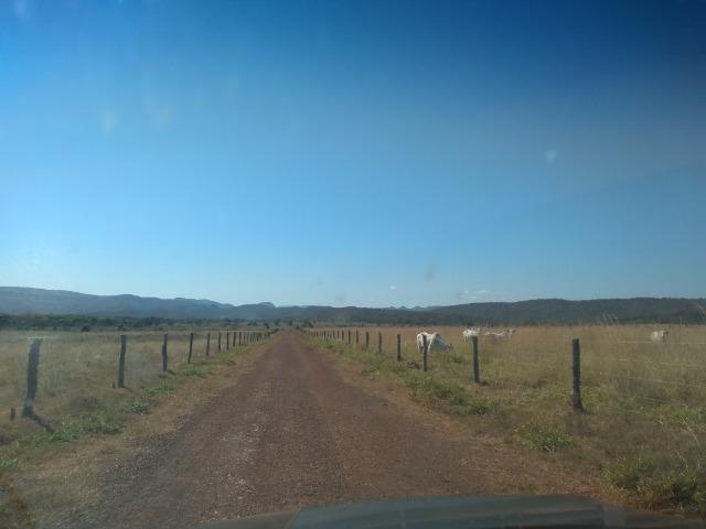 Fazenda c/ 920he, com 600he formados, as margens da BR, a 35km de Cuiabá-MT