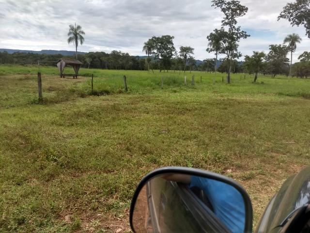 Fazenda com 200he, c/ 50% formado, terra de cultura, 40km de Cuiabá-MT - Foto 20