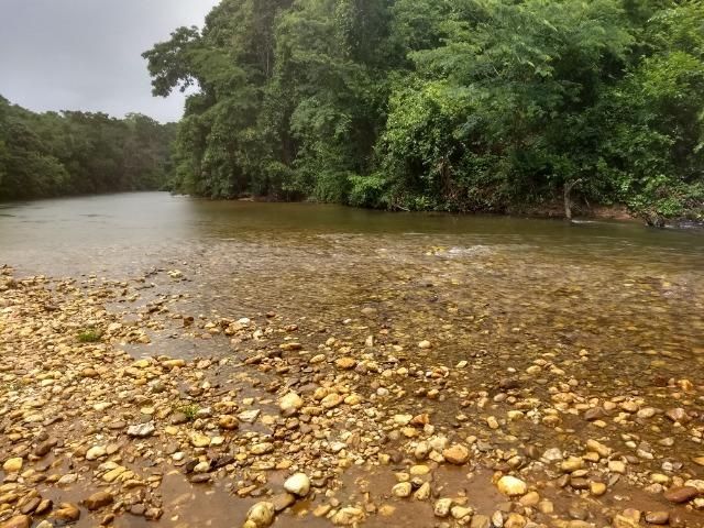Chácara p/ lazer com piscina, passa o Rio Coxipo do Ouro, a 3km do asfalto - Foto 11