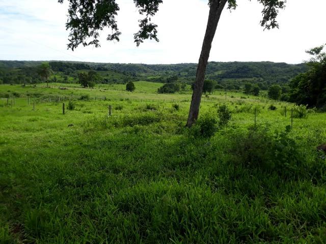Fazenda c/ 912he, 550he formados, Terra boa, Itiquira-MT - Foto 19