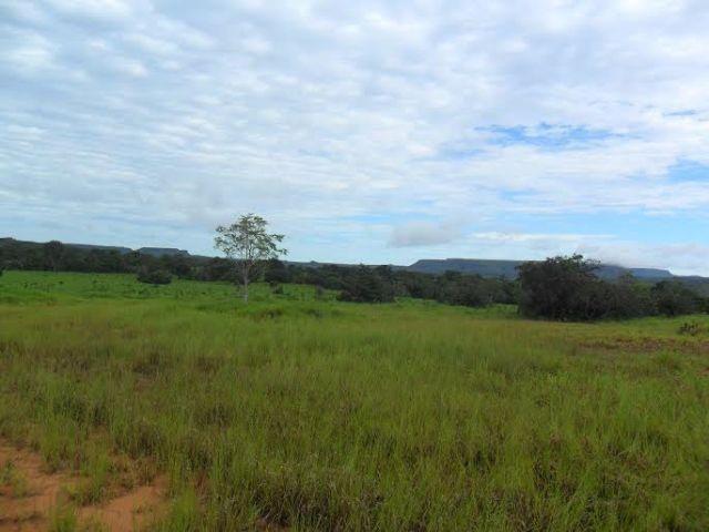 Fazenda c/ 840he c/ aprox. 400he formado, c/ GEO, Guiratinga-MT - Foto 4