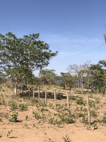 Os lotes selecionados do Lago Corumbá IV estão aqui! - Foto 3