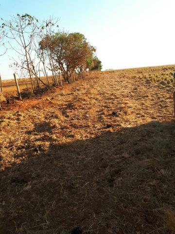 Fazenda c/ 830he, C/ 700he aberto, faz lavoura em 650he, Itiquira-MT - Foto 17