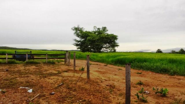Fazenda 1.620 Hectares Dupla Aptidão - Água Boa - MT - Foto 2