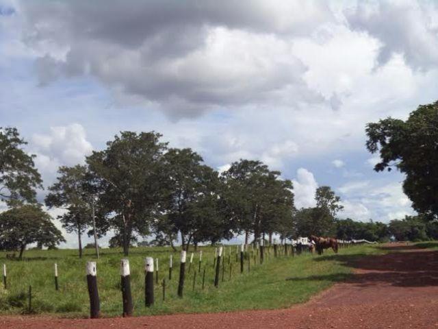 Fazenda c/ 3.480he c/ 80% formada, as margens da BR, Rondonópolis-MT - Foto 7