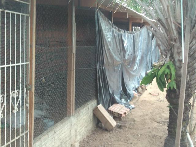 Chácara.sítio .a venda - Foto 5