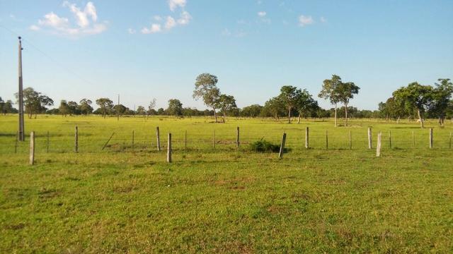 Fazenda 1.210 Hectares Excelente Pecuária - Cáceres - MT - Foto 2