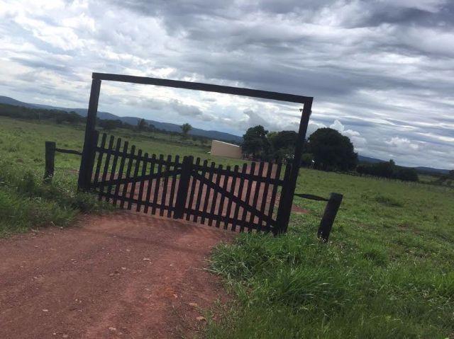 Fazenda c/ 300he, 90% aberto, a 85km de Cuiabá-MT, 40% em imóveis, Sto Antonio Leverger-MT - Foto 6