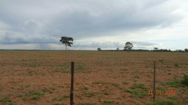 Fazenda c/ 4.500he, C/ 80% aberto, parte faz lavoura, Nova Xavantina-MT - Foto 10