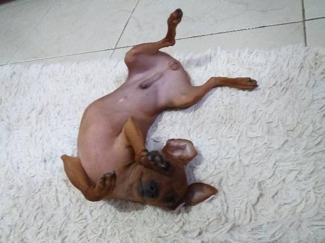 Mais Lidas