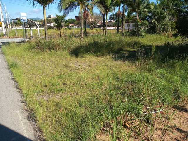 Terreno 3,6 hectares - Santo Amaro da Imperatriz - Foto 4