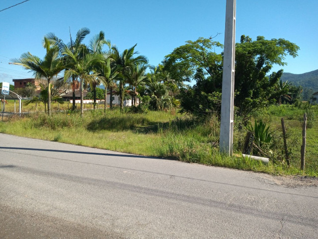 Terreno 3,6 hectares - Santo Amaro da Imperatriz - Foto 3